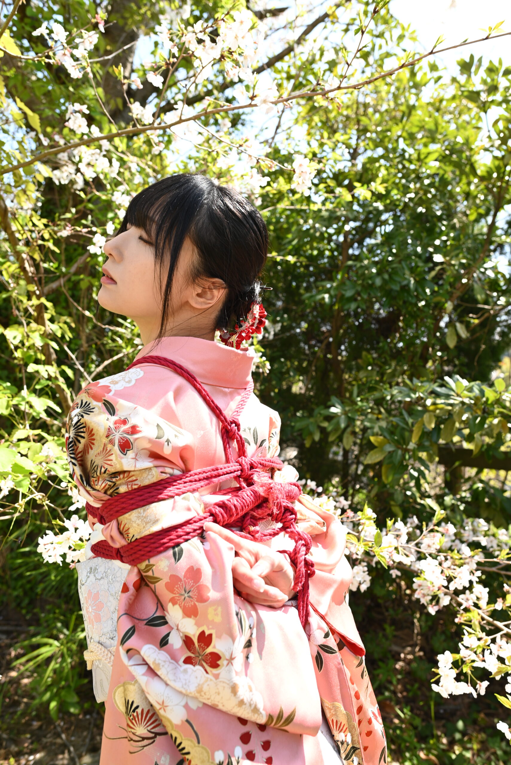 桜緊縛