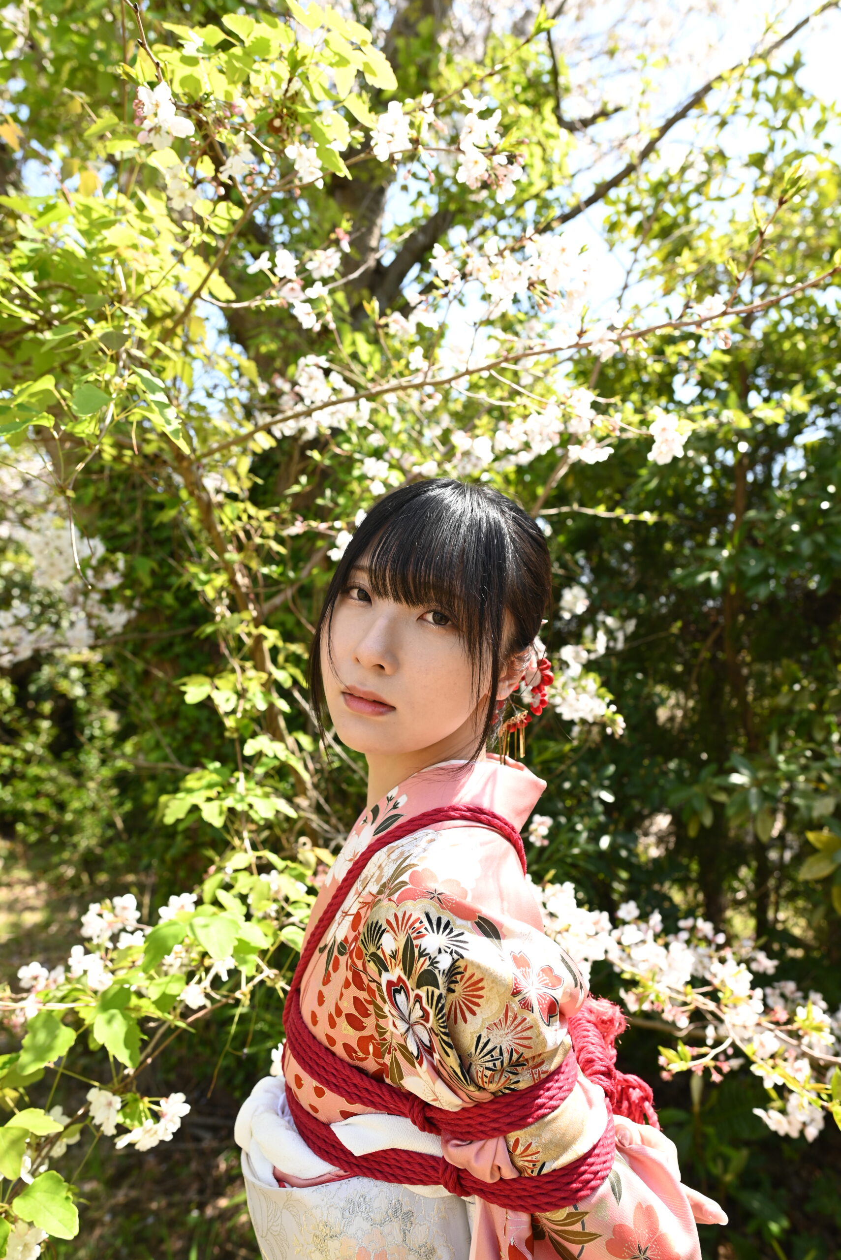 桜緊縛