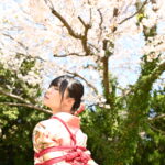 桜緊縛