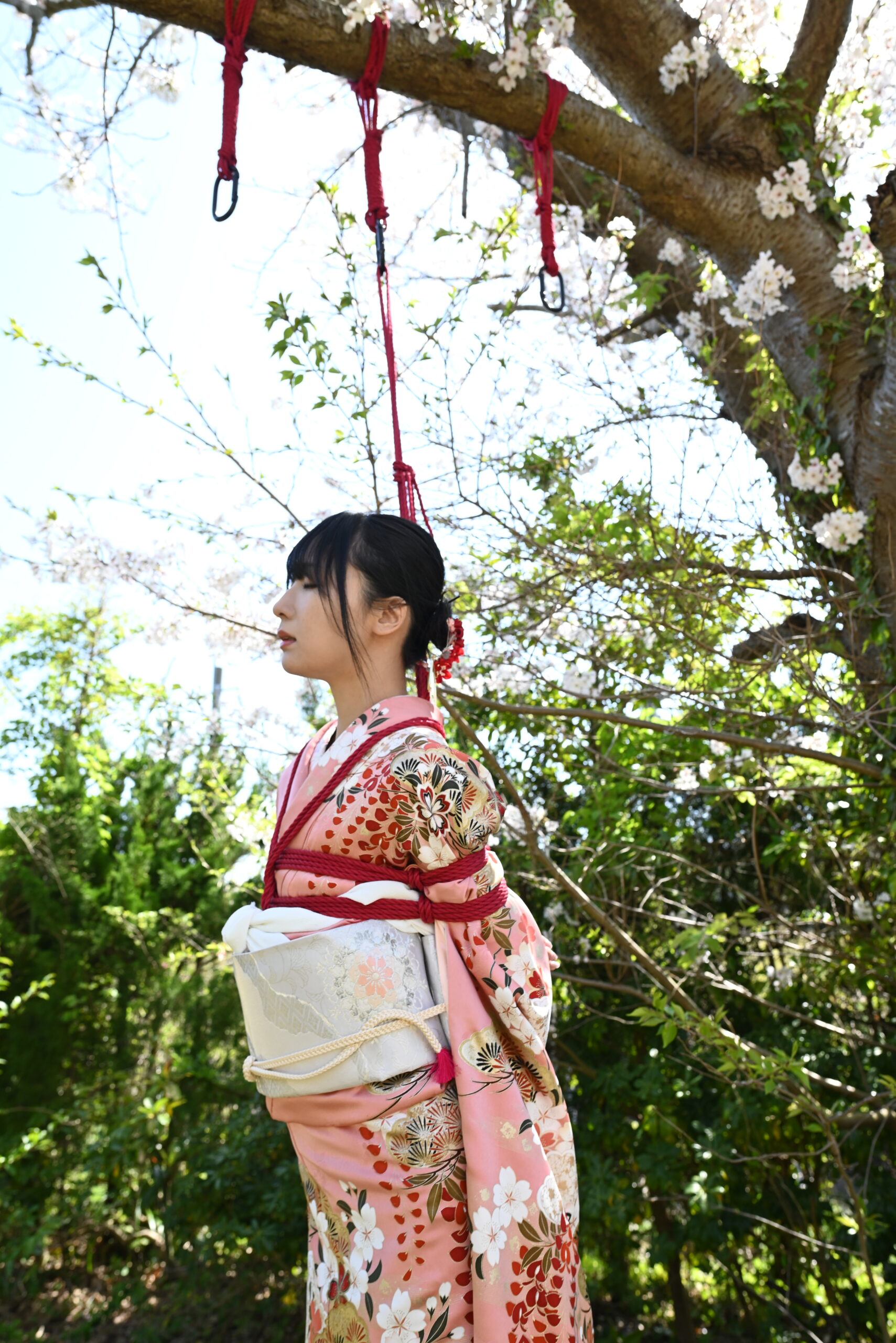 桜緊縛