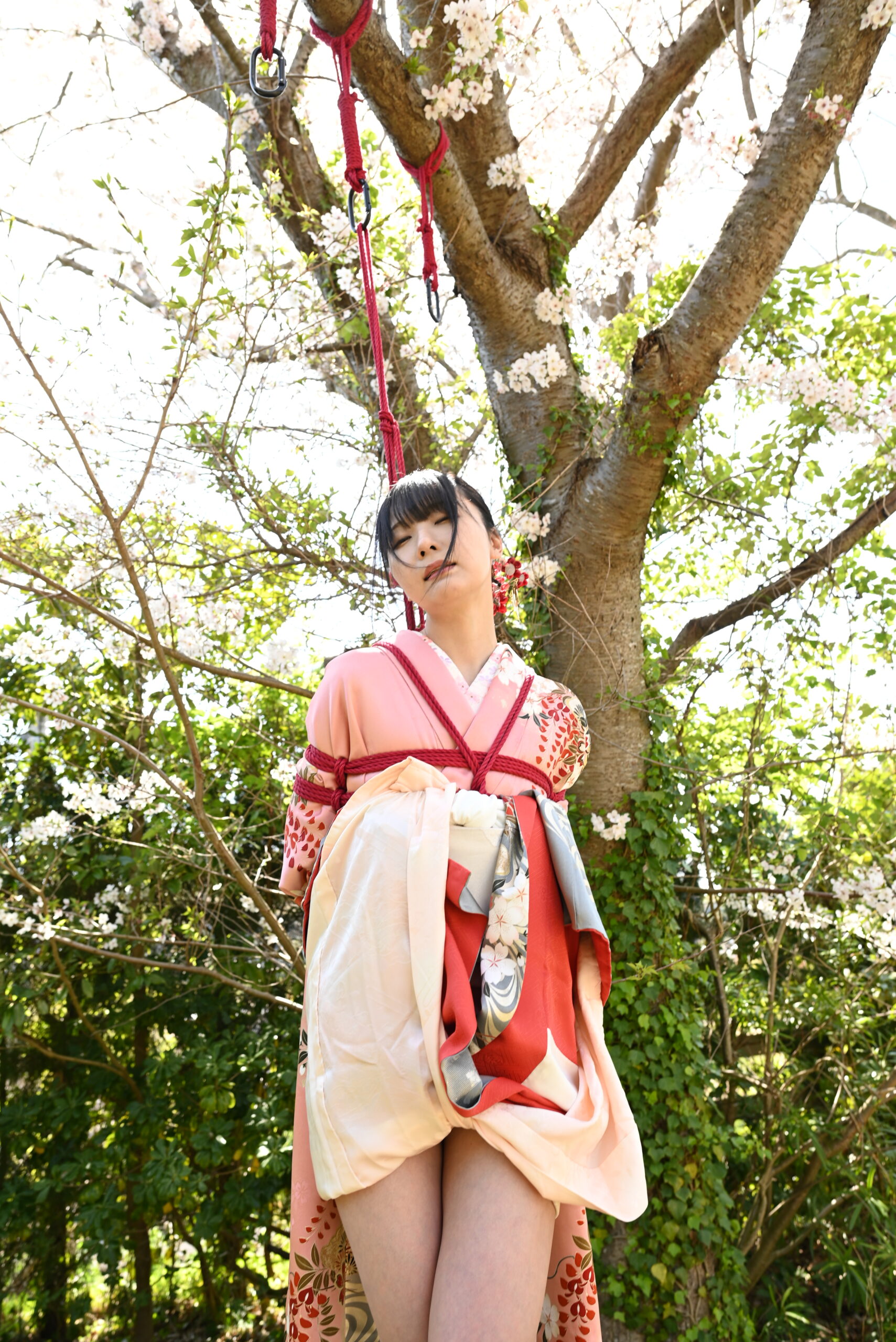 桜緊縛