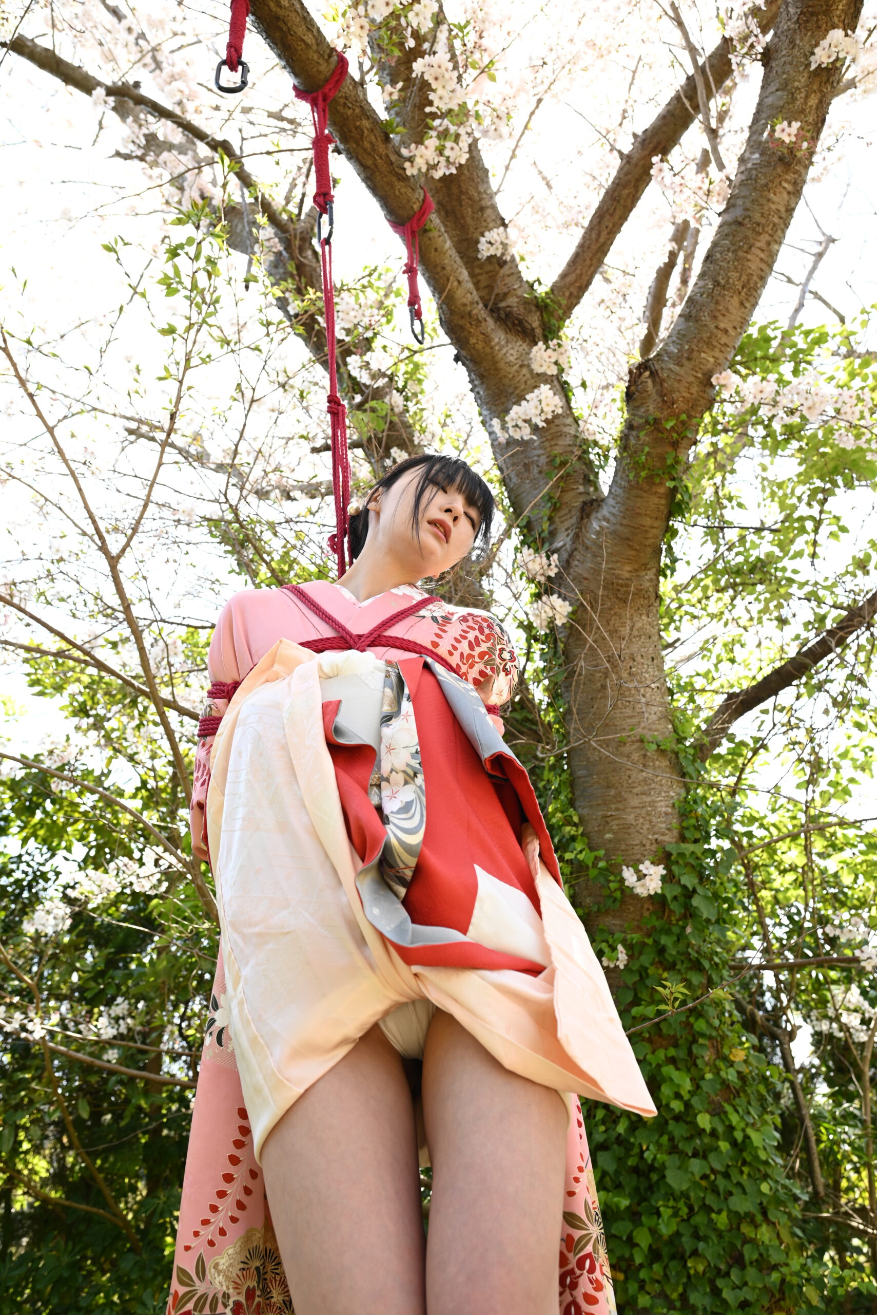 桜緊縛