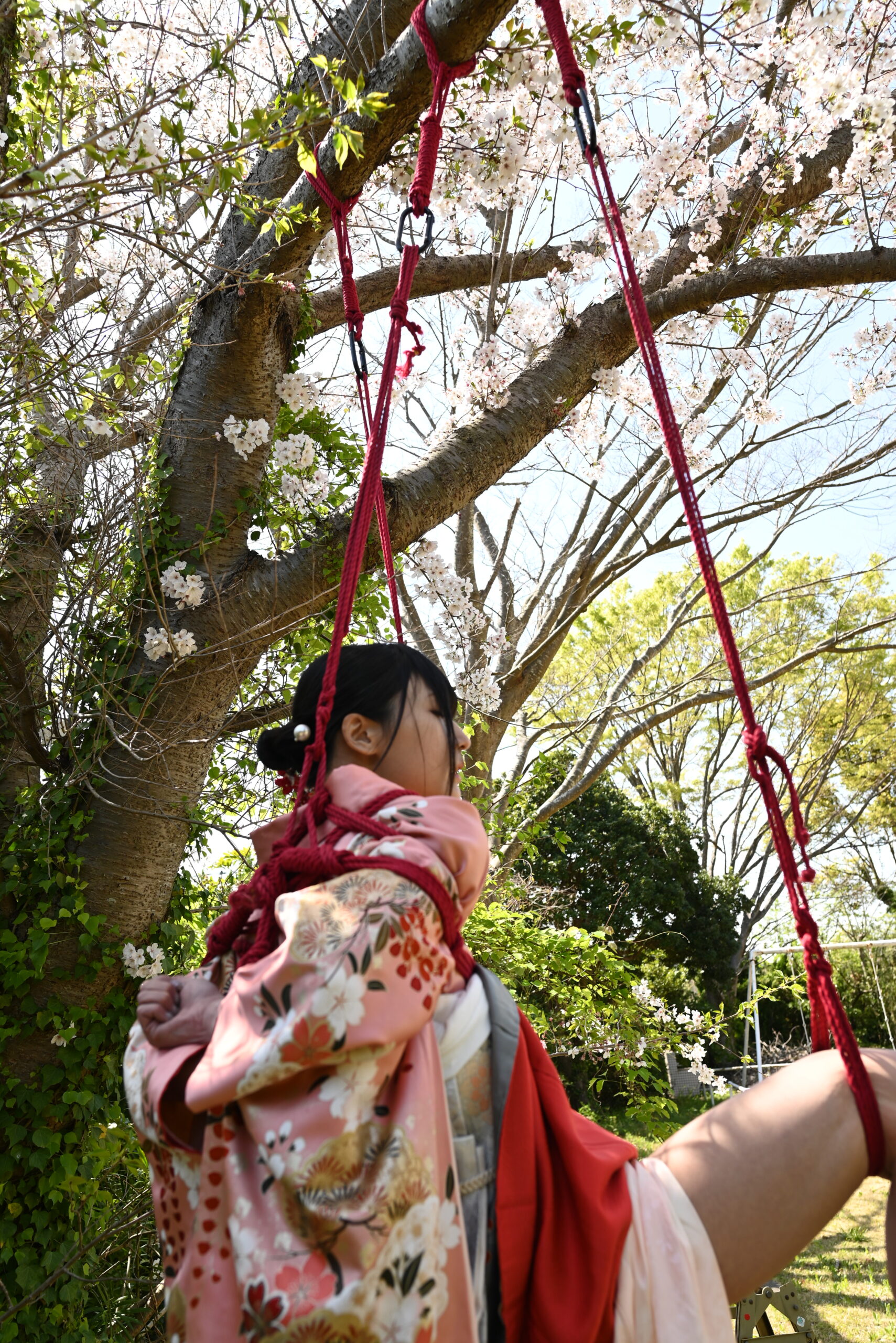 桜吊り緊縛
