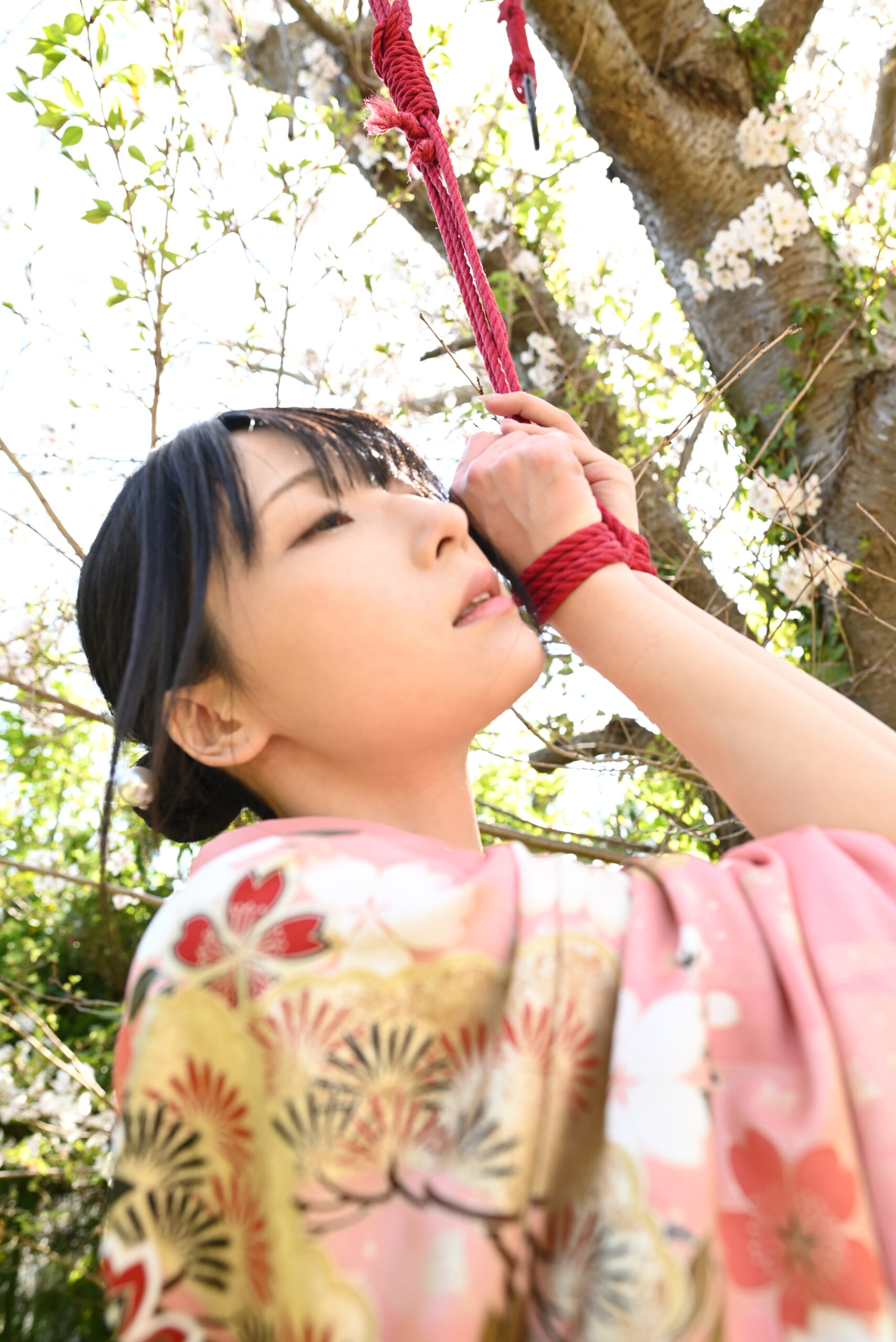 桜緊縛