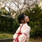 桜緊縛