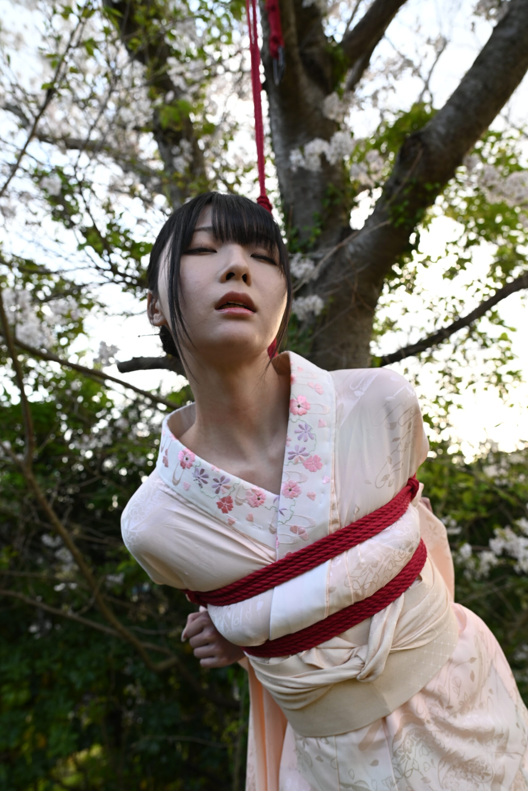 桜緊縛