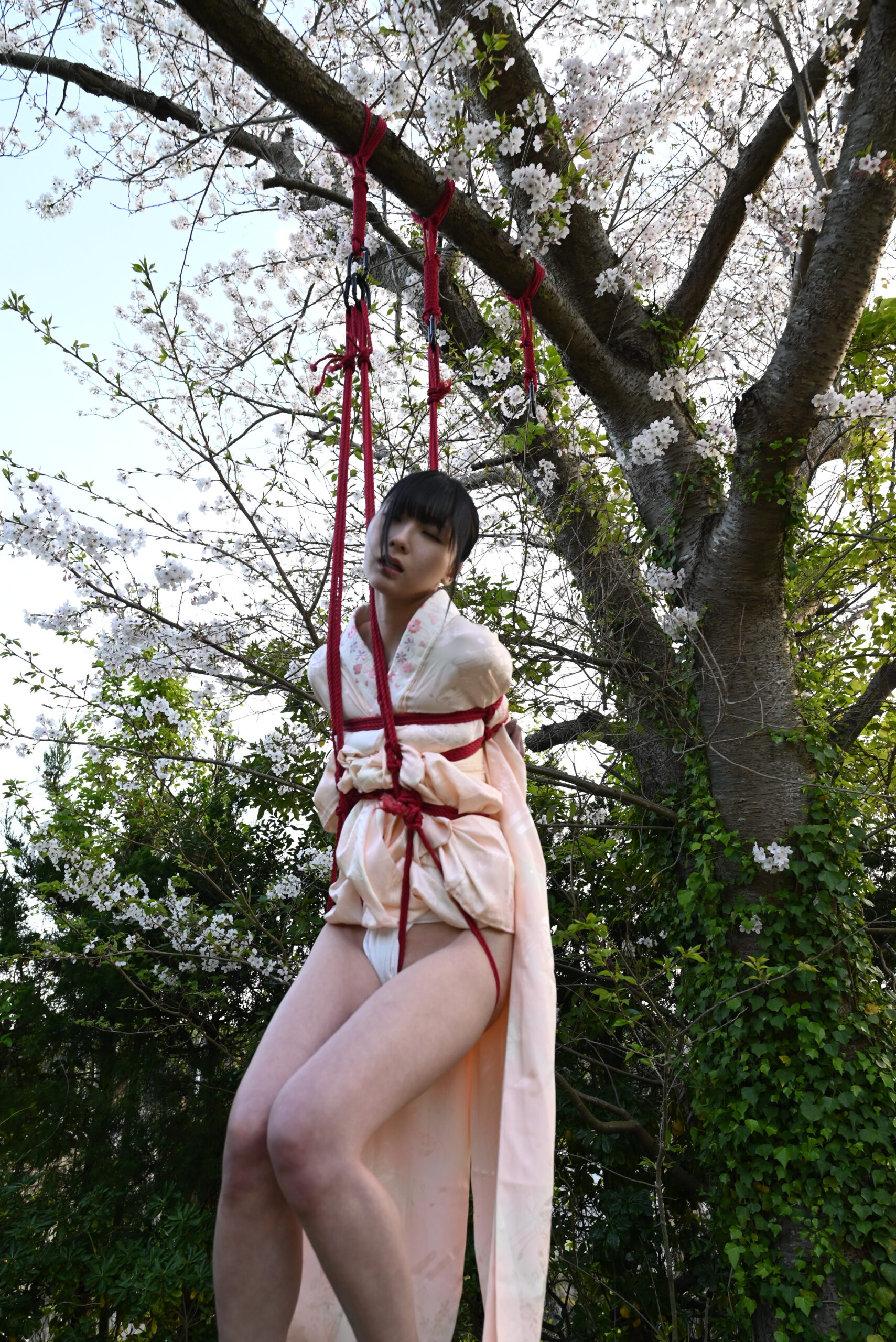 桜吊り緊縛