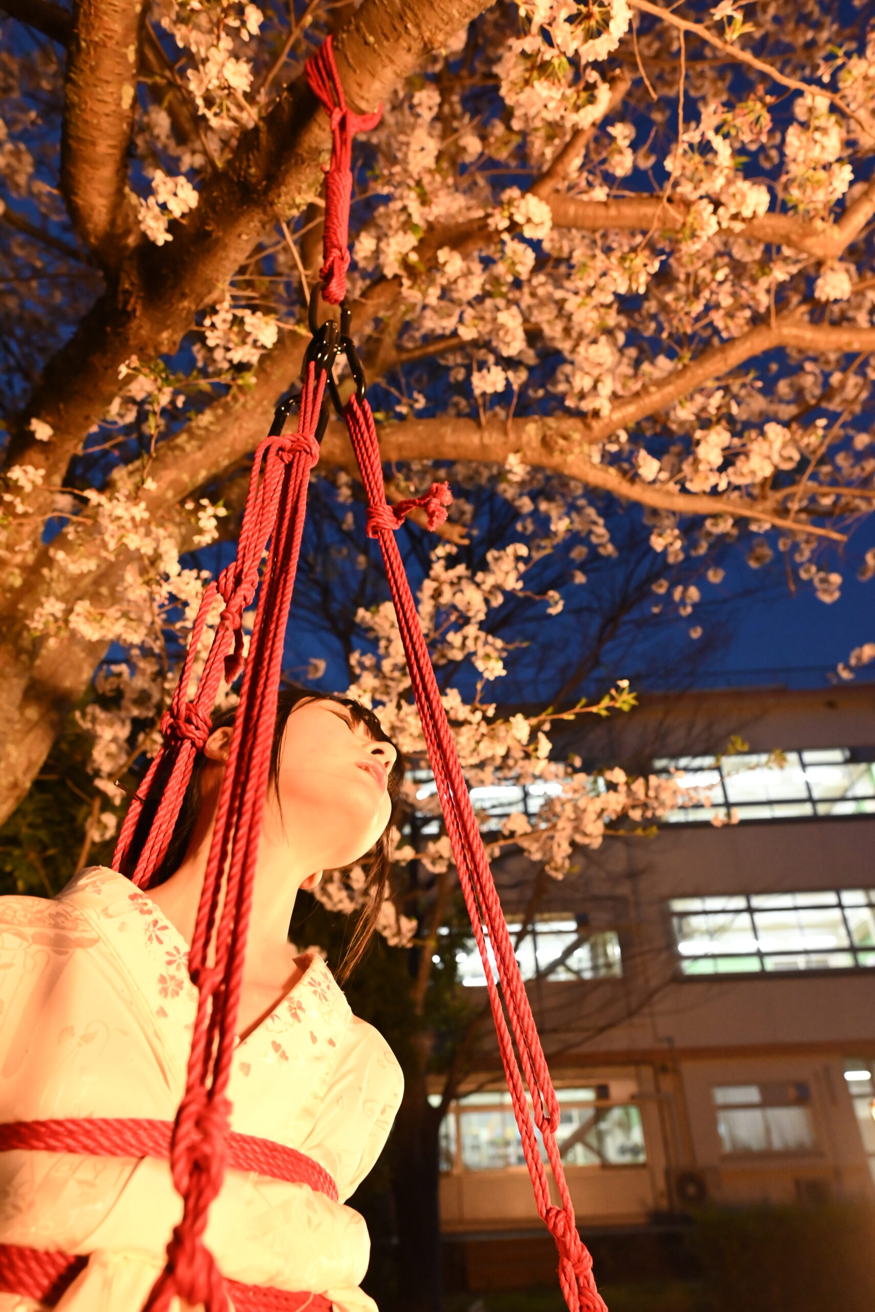 夜桜緊縛