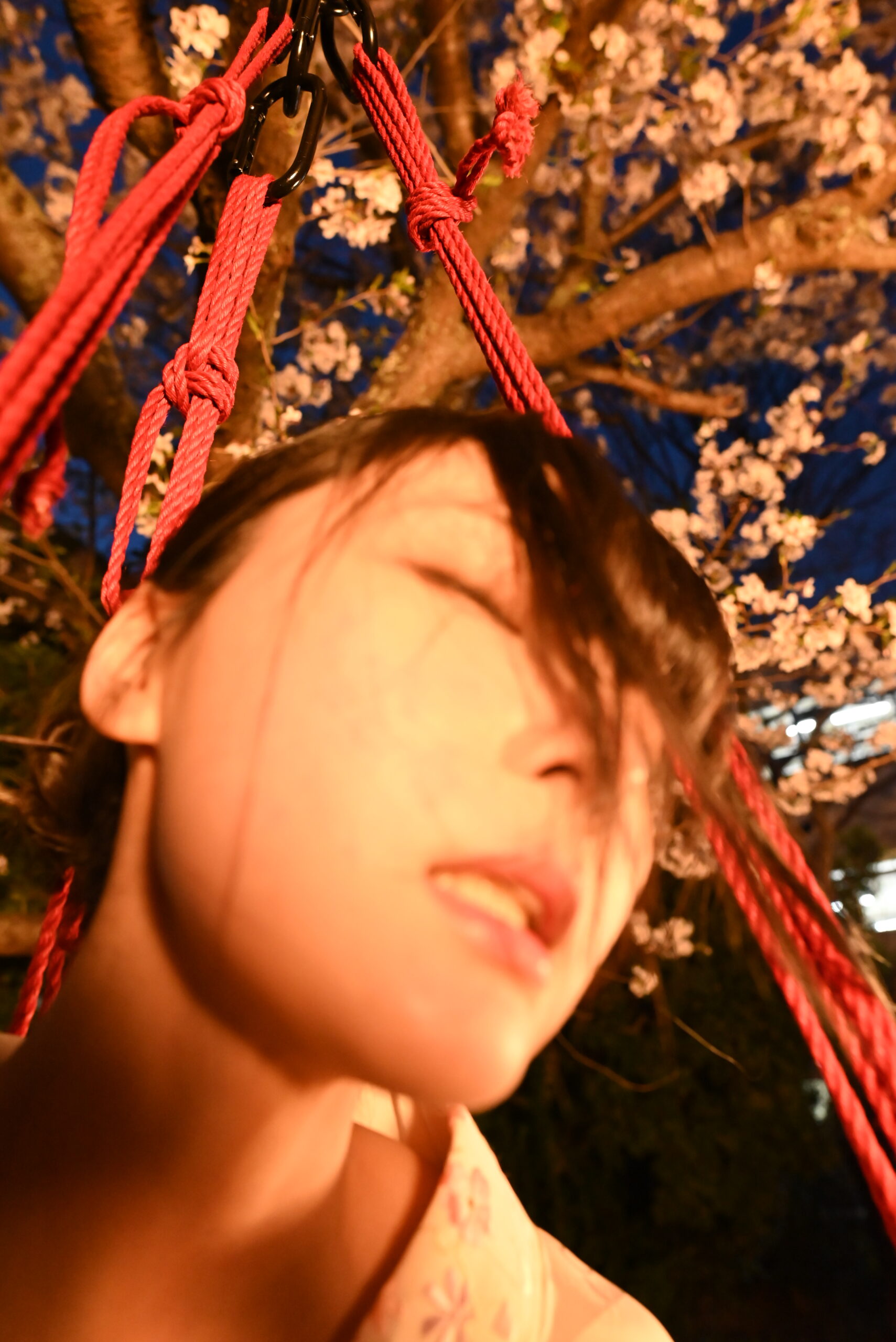 夜桜緊縛
