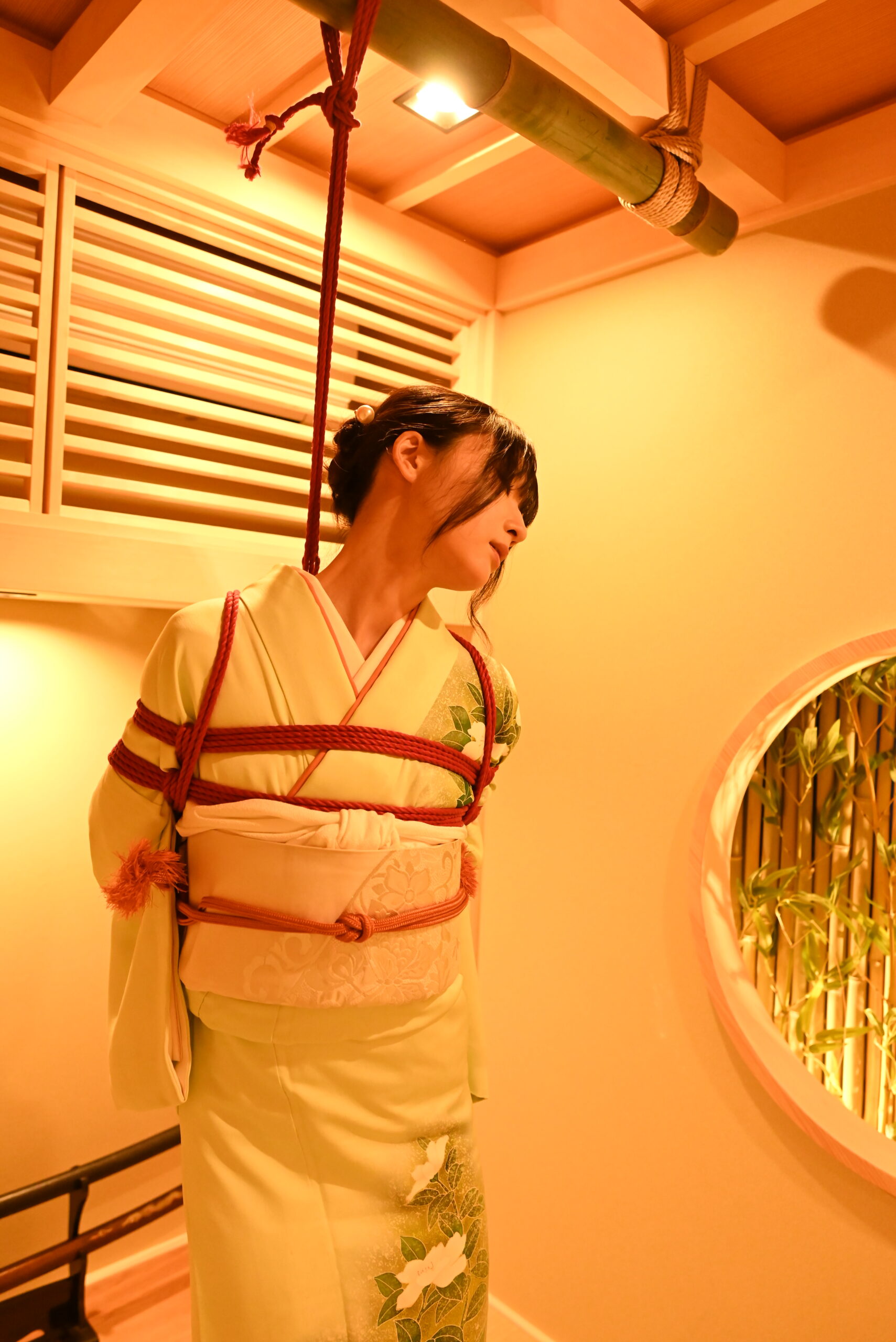 shibari
