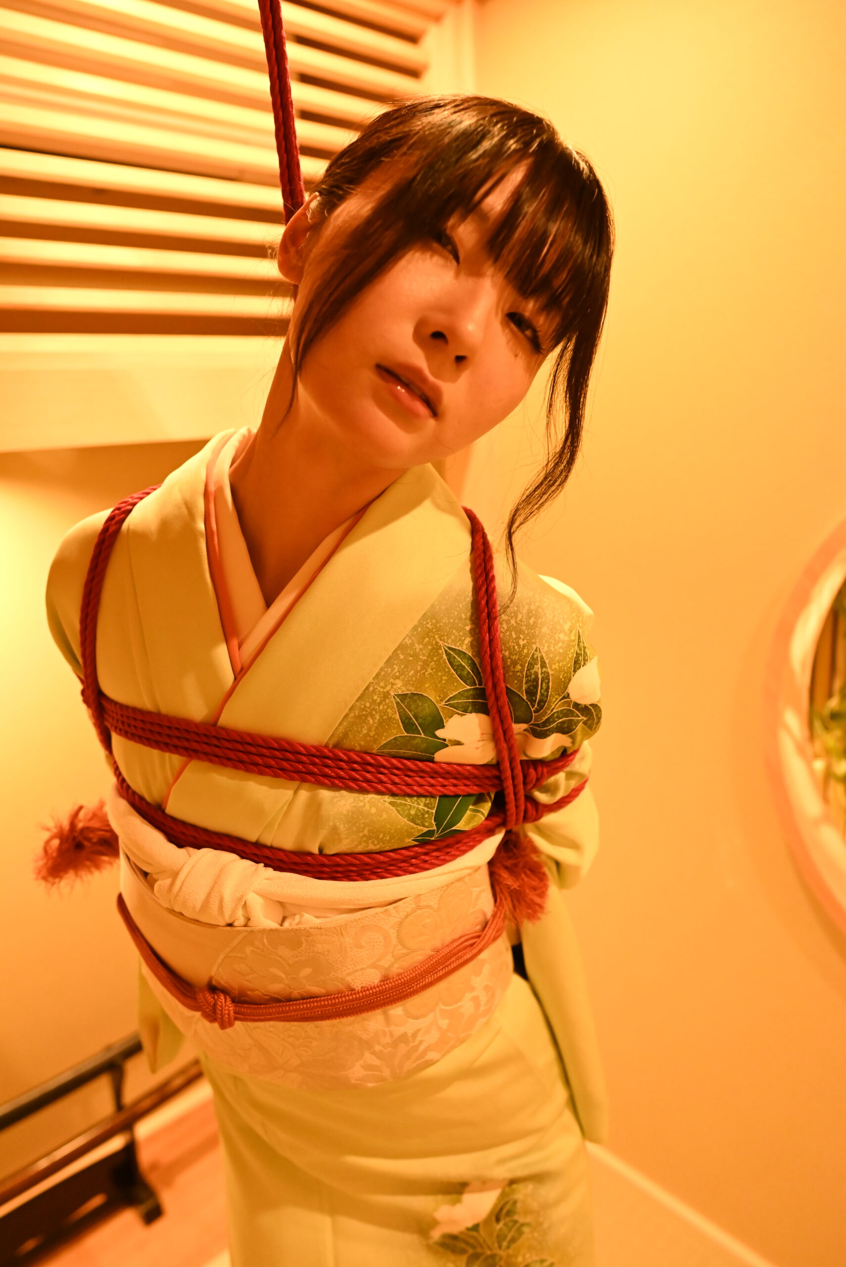 shibari