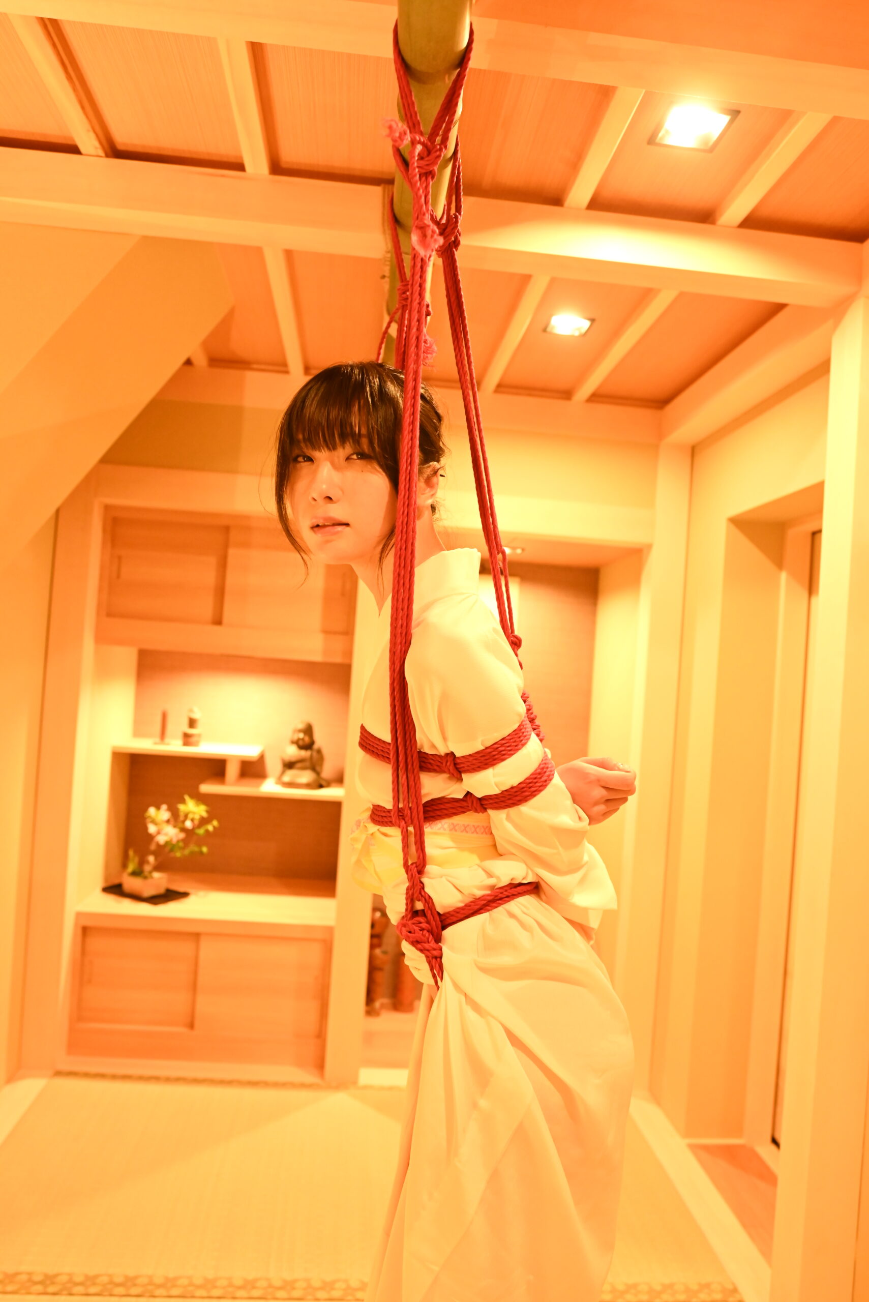 shibari