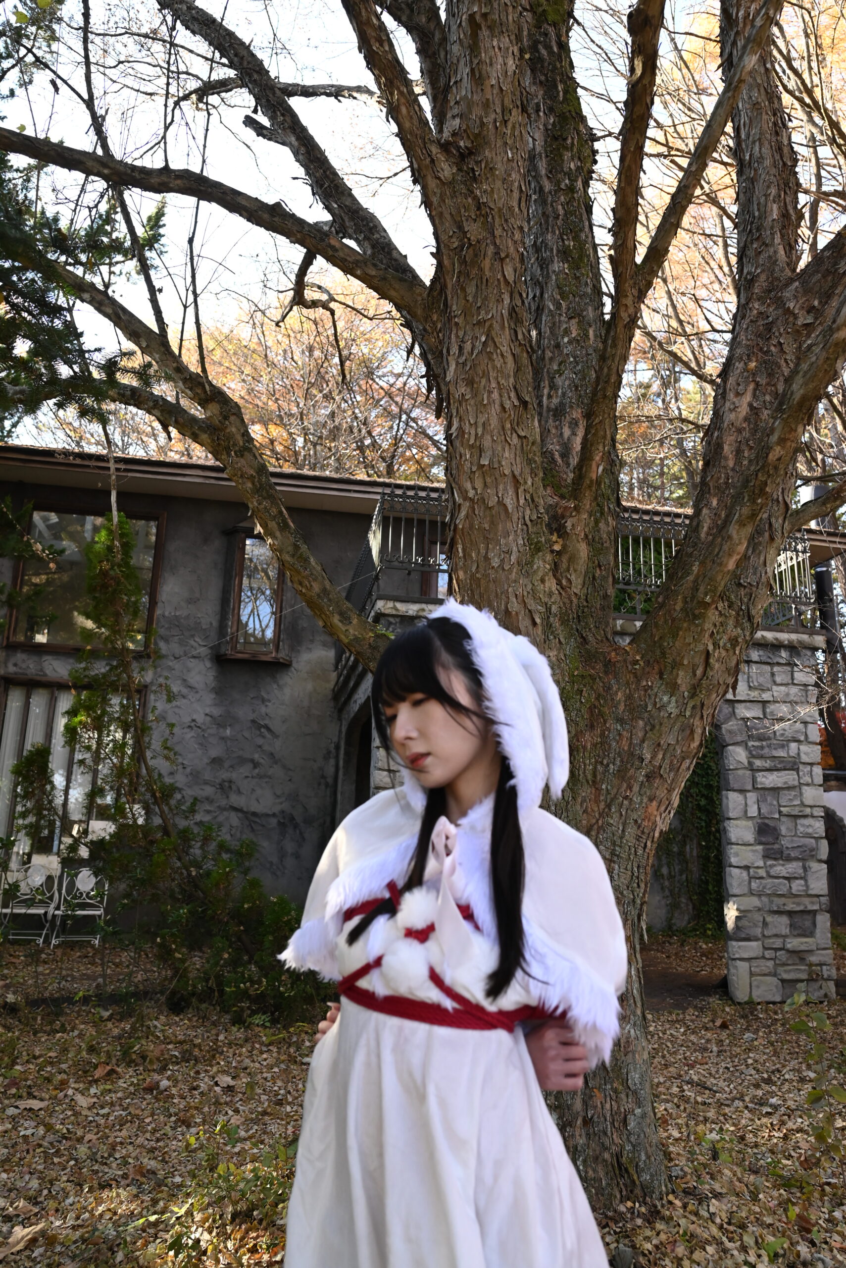 クリスマス緊縛