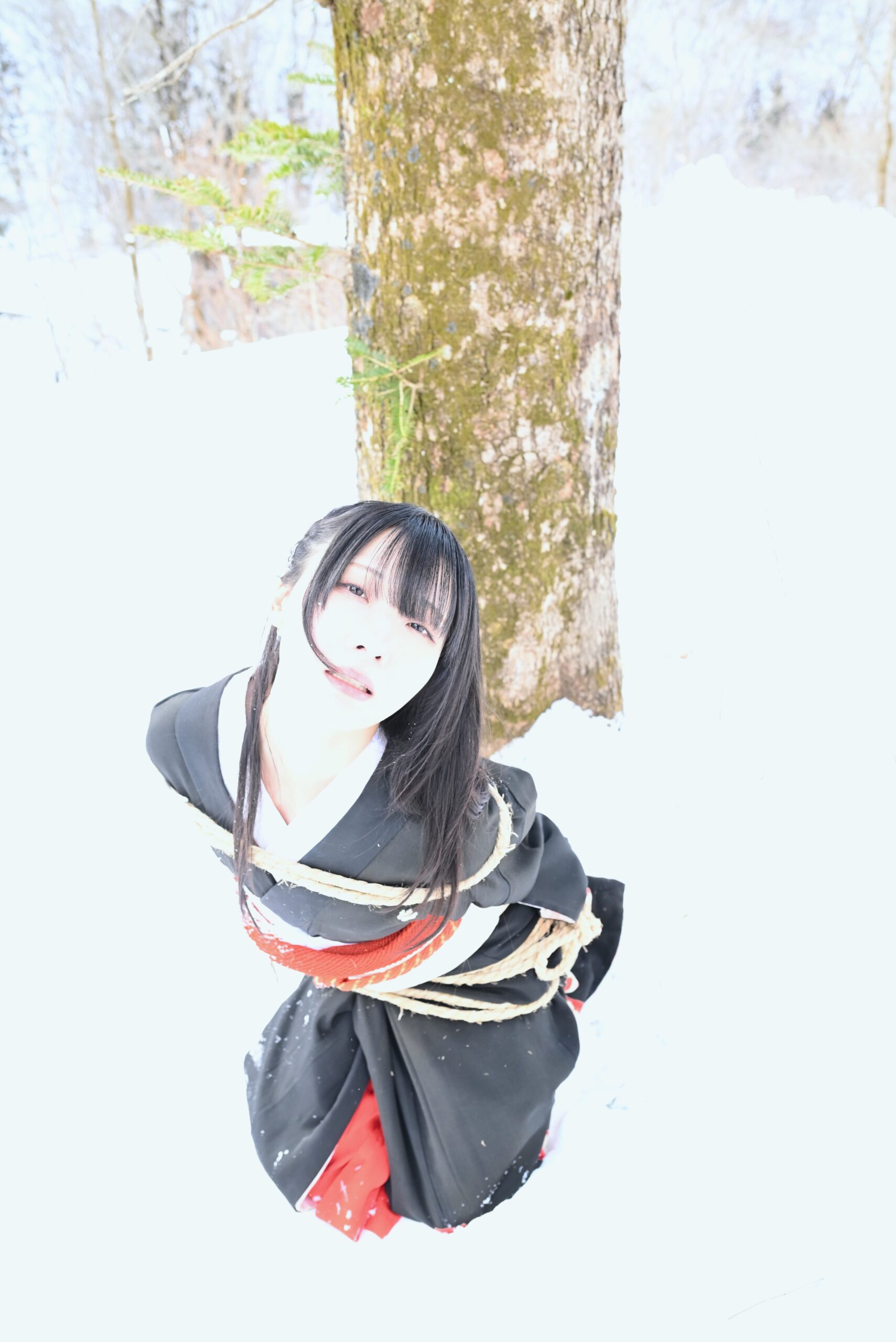 雪SHIBARI
