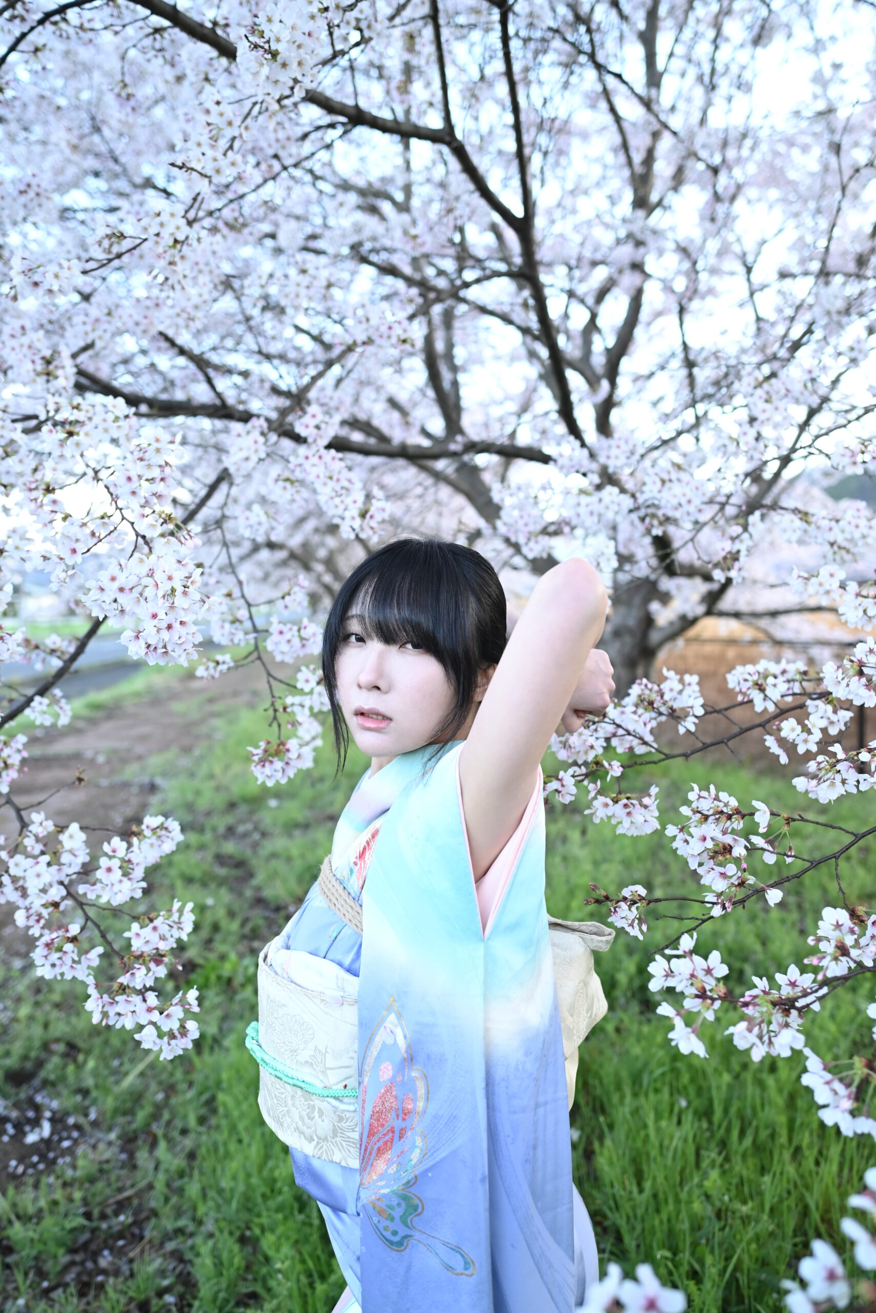 桜着物緊縛