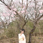 桜緊縛