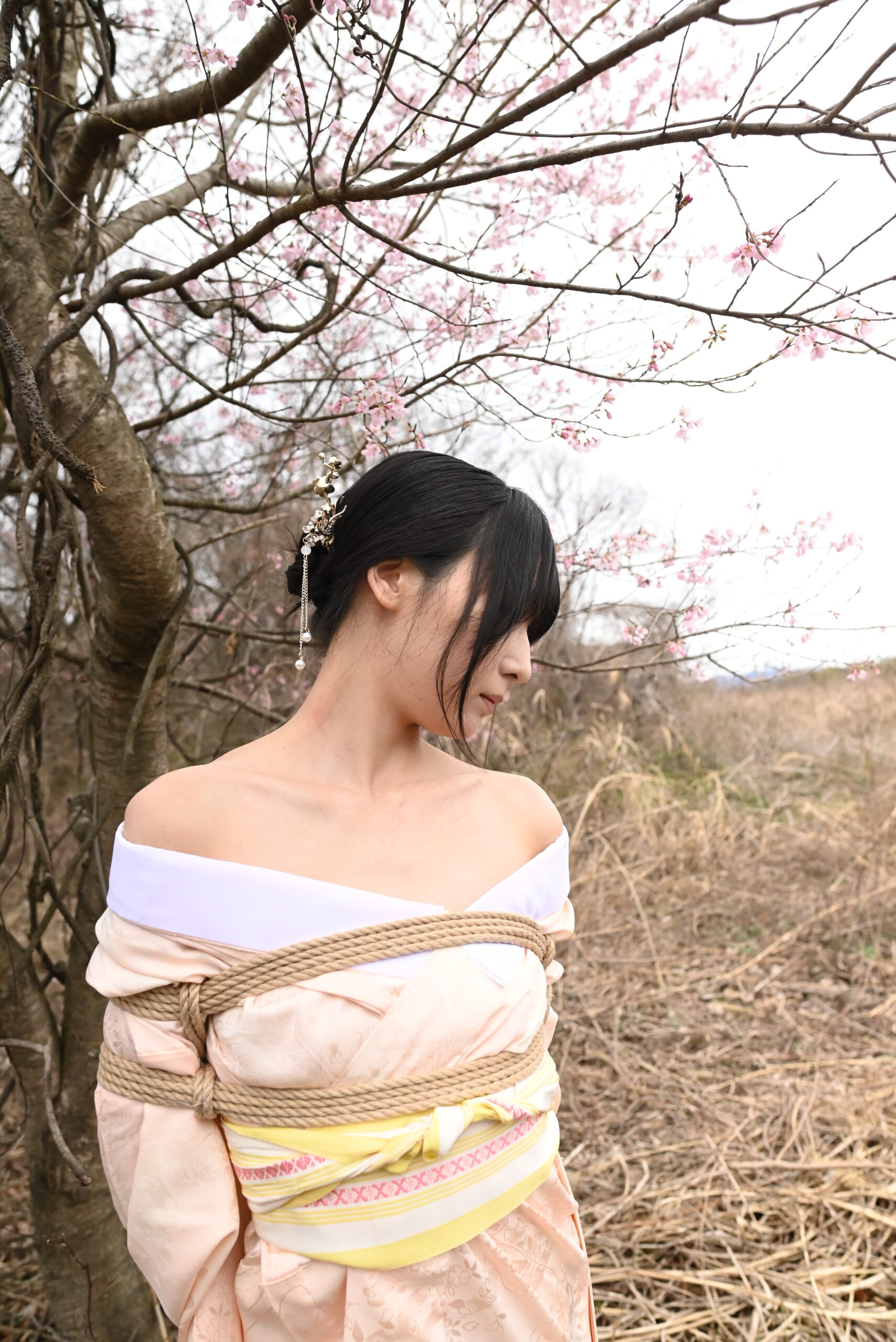 桜緊縛