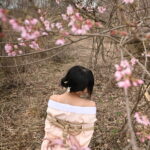 桜緊縛
