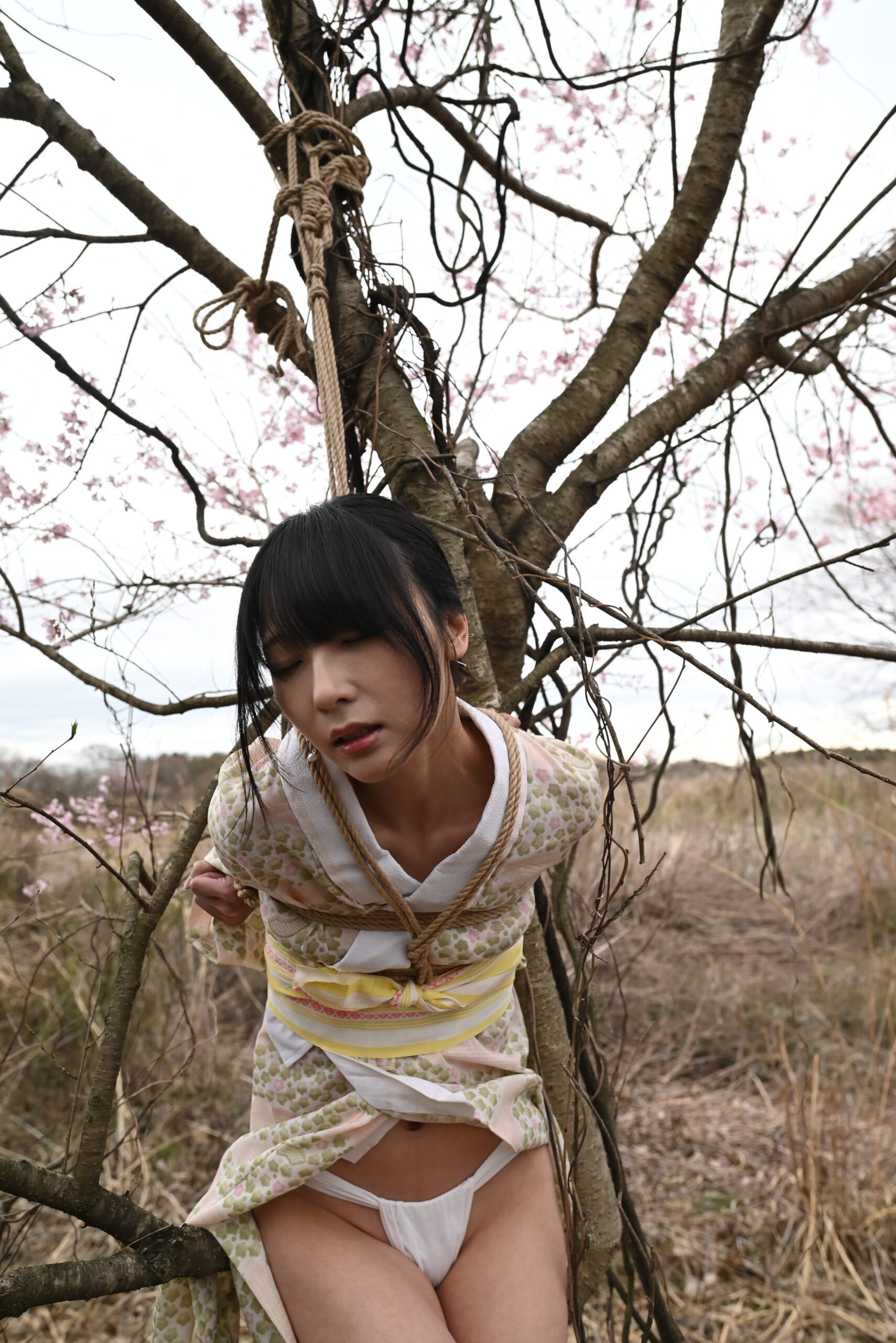 桜緊縛
