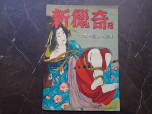 伊藤晴雨新猟奇苑