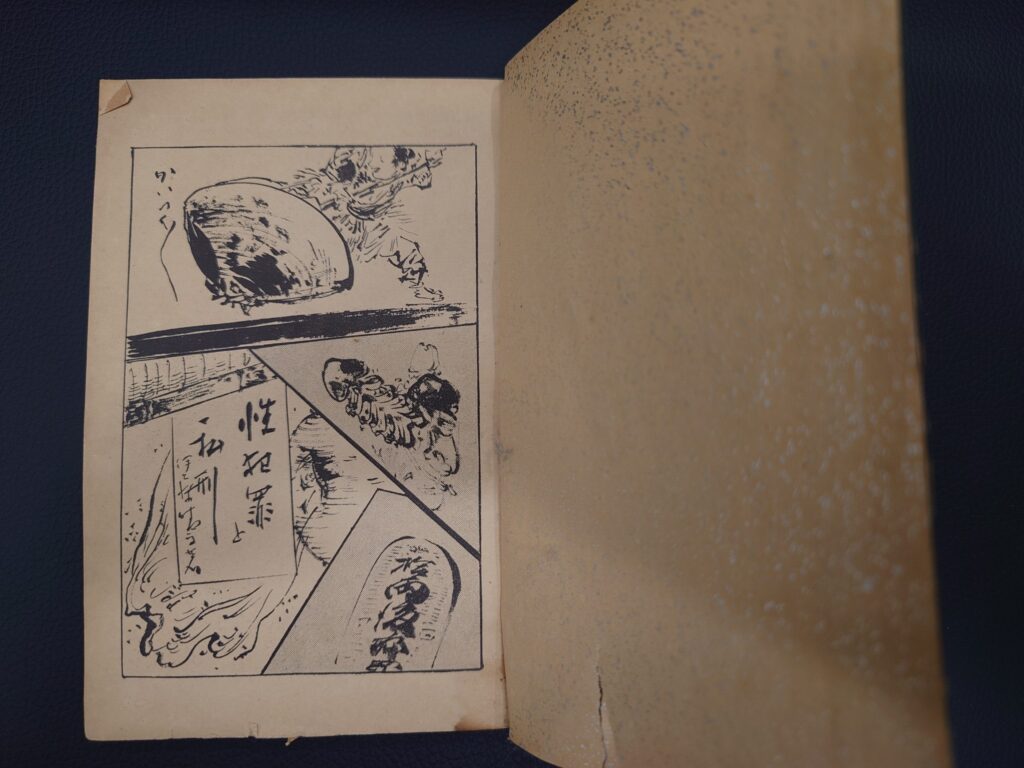 性犯罪と私刑